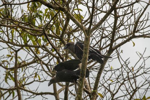 _HMR5323_ExtApp_1820.jpg _HMR5323_ExtApp_1820.jpg