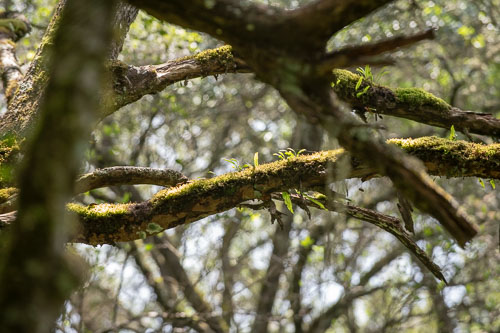 _HMR5365.jpg _HMR5365.jpg