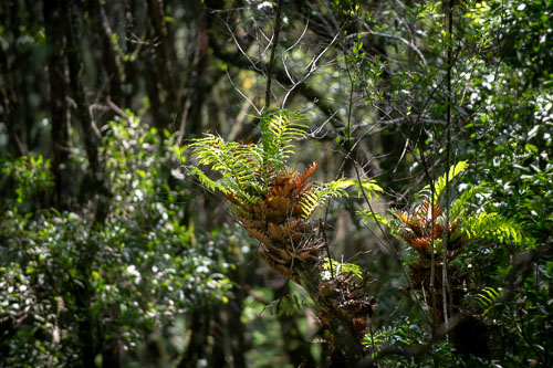 _HMR5368.jpg _HMR5368.jpg