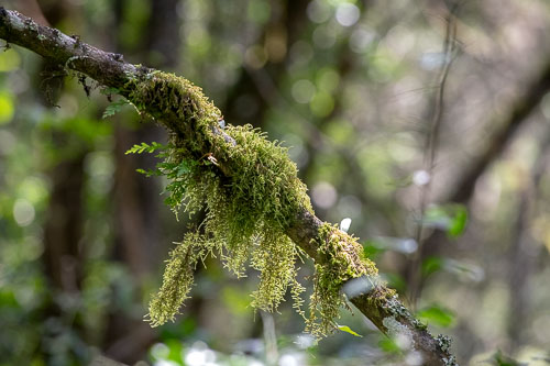 _HMR5369.jpg _HMR5369.jpg