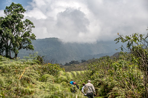 _HMR5384.jpg _HMR5384.jpg