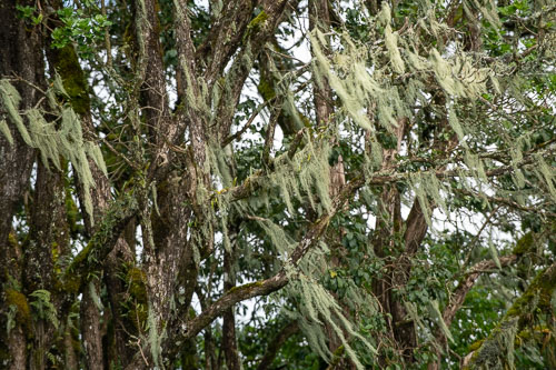 _HMR5385.jpg _HMR5385.jpg