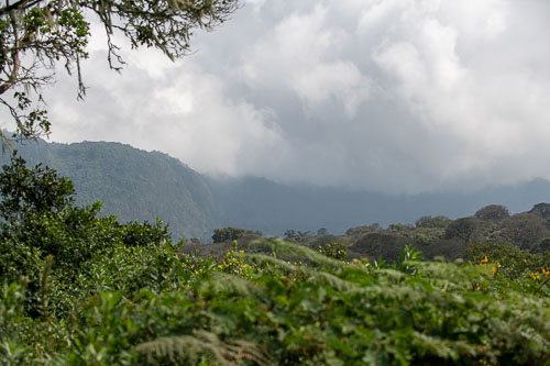 _HMR5387.jpg _HMR5387.jpg