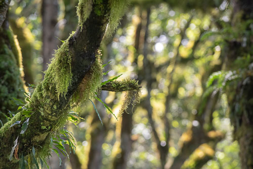 _HMR5391_ExtApp_1823.jpg _HMR5391_ExtApp_1823.jpg