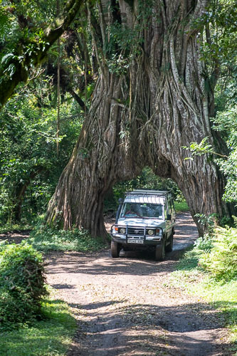 _HMR5395.jpg _HMR5395.jpg