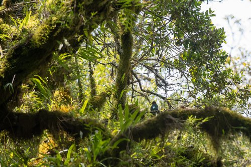 _HMR5396_ExtApp_1824.jpg _HMR5396_ExtApp_1824.jpg