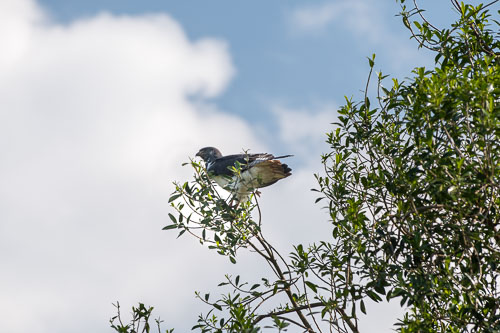 _HMR5417_ExtApp_1825.jpg _HMR5417_ExtApp_1825.jpg