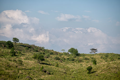 Kilimandjaro and Giraffes _HMR5441-180801-2413_ExtApp_1826.jpg