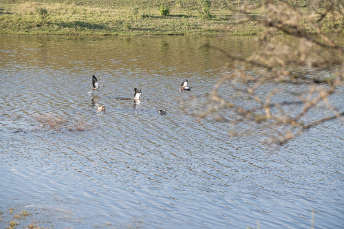 _HMR5527.jpg _HMR5527.jpg