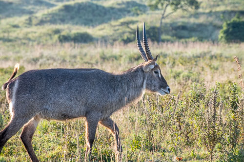 _HMR5543.jpg _HMR5543.jpg