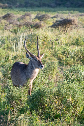 _HMR5549.jpg _HMR5549.jpg