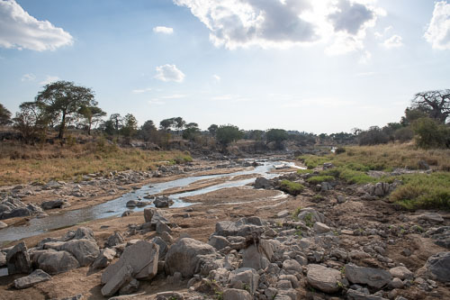 _HMR5612.jpg _HMR5612.jpg