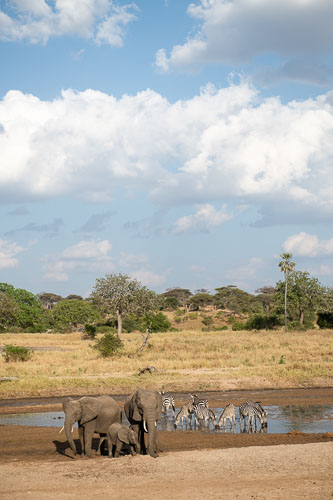 _HMR5625.jpg _HMR5625.jpg