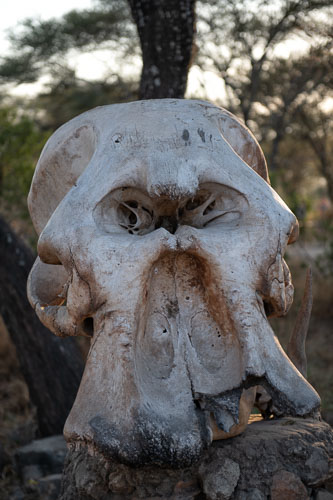 _HMR5644-180802-2456.jpg _HMR5644-180802-2456.jpg