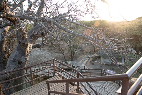 _HMR5650.jpg _HMR5650.jpg