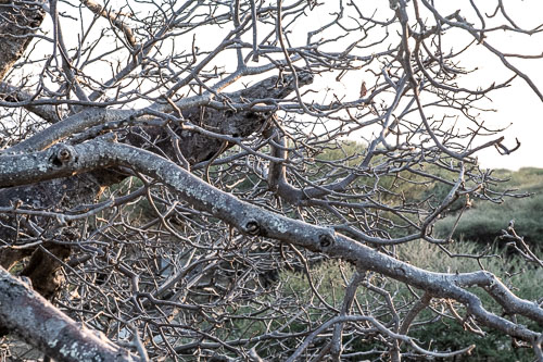 _HMR5659.jpg _HMR5659.jpg