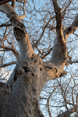 _HMR5660.jpg _HMR5660.jpg