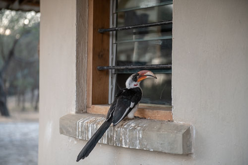 _HMR5662.jpg _HMR5662.jpg