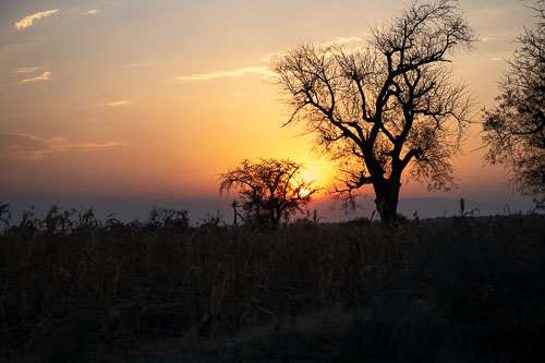 _HMR5669.jpg _HMR5669.jpg