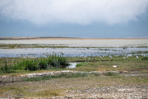 _HMR5752.jpg _HMR5752.jpg