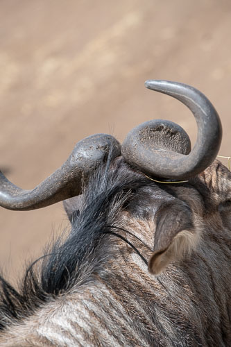 _HMR5954.jpg _HMR5954.jpg