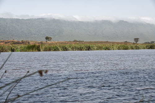 _HMR5998-180803-2501.jpg _HMR5998-180803-2501.jpg