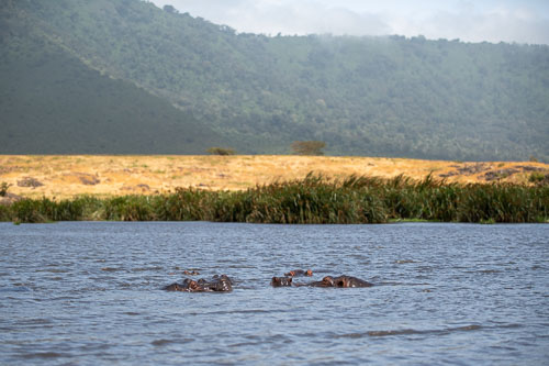 _HMR6001.jpg _HMR6001.jpg