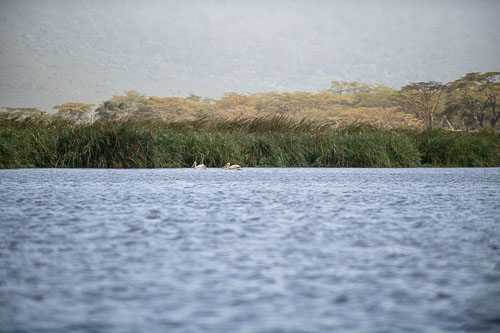 _HMR6008.jpg _HMR6008.jpg