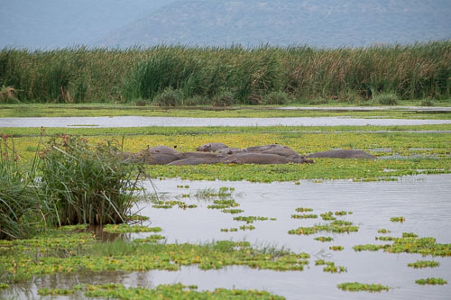 _HMR6063.jpg _HMR6063.jpg