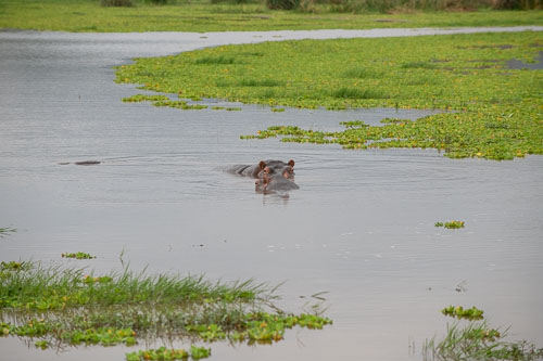 _HMR6068.jpg _HMR6068.jpg