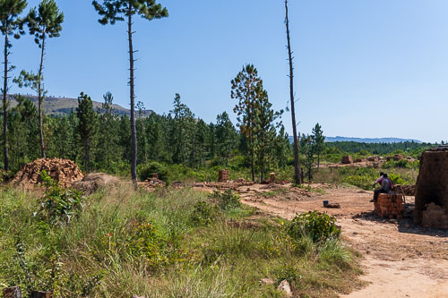 2022-07-05_10-13-12_HMR9933.jpg 2022-07-05_10-13-12_HMR9933.jpg