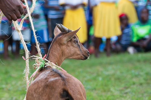 Willkommensfeier 2023-10-21_17-10-41__D062379.jpg