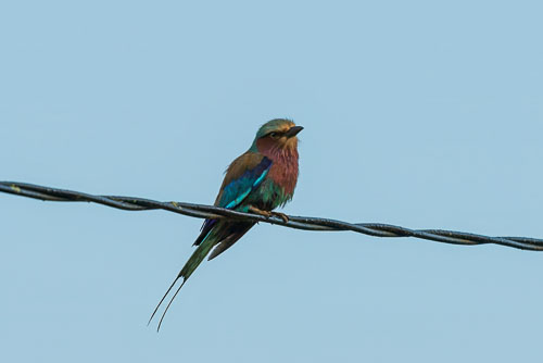 Gabelracke 2023-10-22_05-49-34__D062382_Ext-0949.jpg