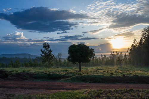 Die Regenzeit naht 2023-10-22_05-50-54__Z725815_Ext-0950.jpg