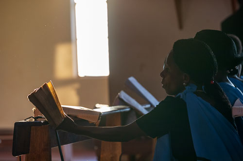 2023-10-22_05-57-31__D062387.jpg 2023-10-22_05-57-31__D062387.jpg