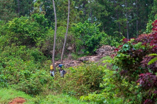 Wasserholen 2023-10-22_12-47-28__D062449.jpg