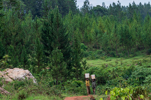 Wasserholen 2023-10-22_12-48-25__D062450.jpg