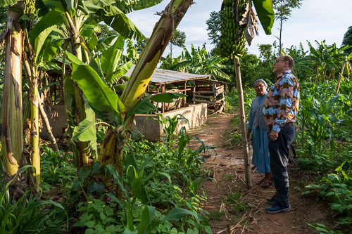 Selbstversorger 2023-10-22_16-45-31__Z725957.jpg