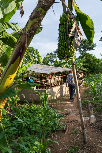 Selbstversorger 2023-10-22_16-45-45__Z725958.jpg