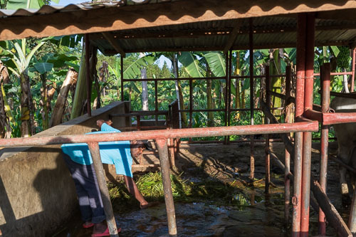 Selbstversorger 2023-10-22_16-46-32__Z725959.jpg