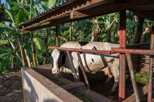 Selbstversorger 2023-10-22_16-46-54__Z725960.jpg