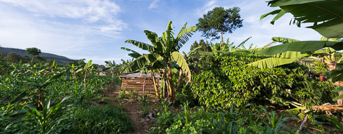 Selbstversorger 2023-10-22_16-48-53__Z725961-Pano.jpg