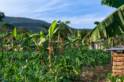 Selbstversorger 2023-10-22_16-49-50__D062457.jpg