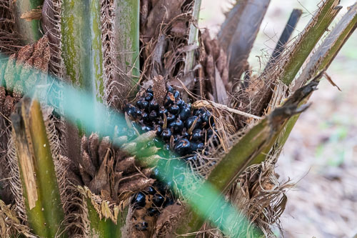 Selbstversorger 2023-10-22_16-53-13__D062458.jpg