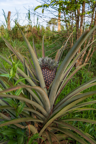 Selbstversorger 2023-10-22_16-55-53__Z725969_Ext-0976.jpg