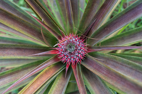 Selbstversorger 2023-10-22_16-57-18__Z725970_Ext-0977.jpg