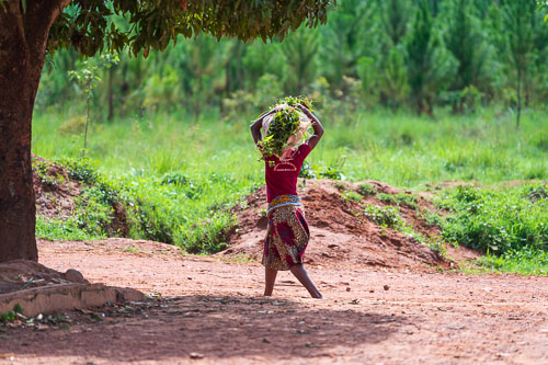 2023-10-23_09-03-00__D062504.jpg 2023-10-23_09-03-00__D062504.jpg