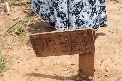 2023-10-23_11-13-10__D062558.jpg 2023-10-23_11-13-10__D062558.jpg