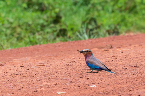 Gabelracke 2023-10-23_11-28-15__D062565_Ext-1007.jpg