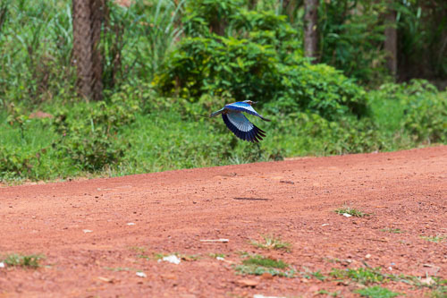 Gabelracke 2023-10-23_11-28-21__D062566_Ext-1008.jpg